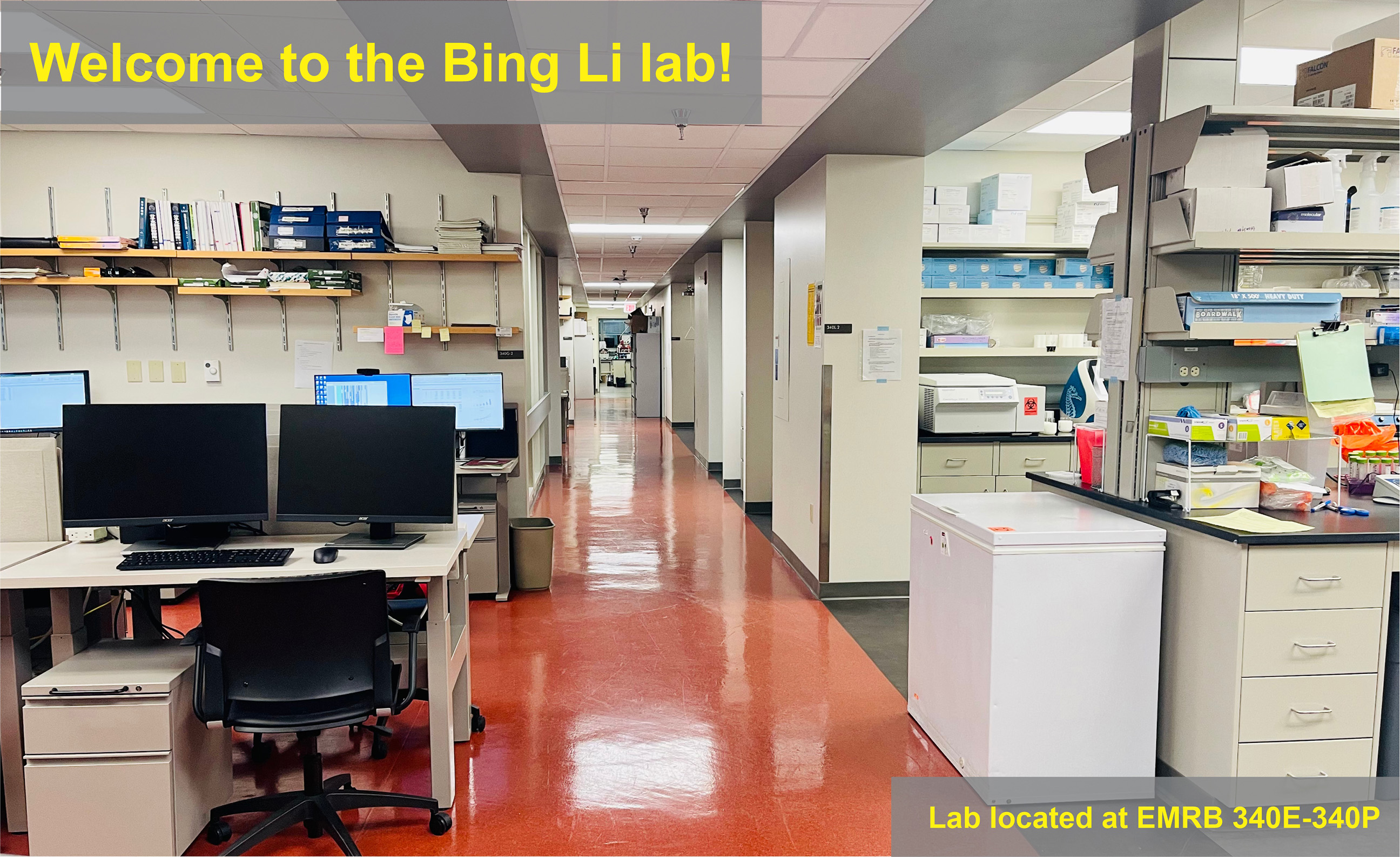 Dr. Bing Li's Lab